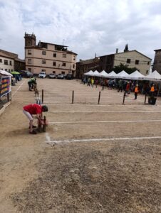 Torneig de bitlles catalanes - Memorial Xavier Bardia