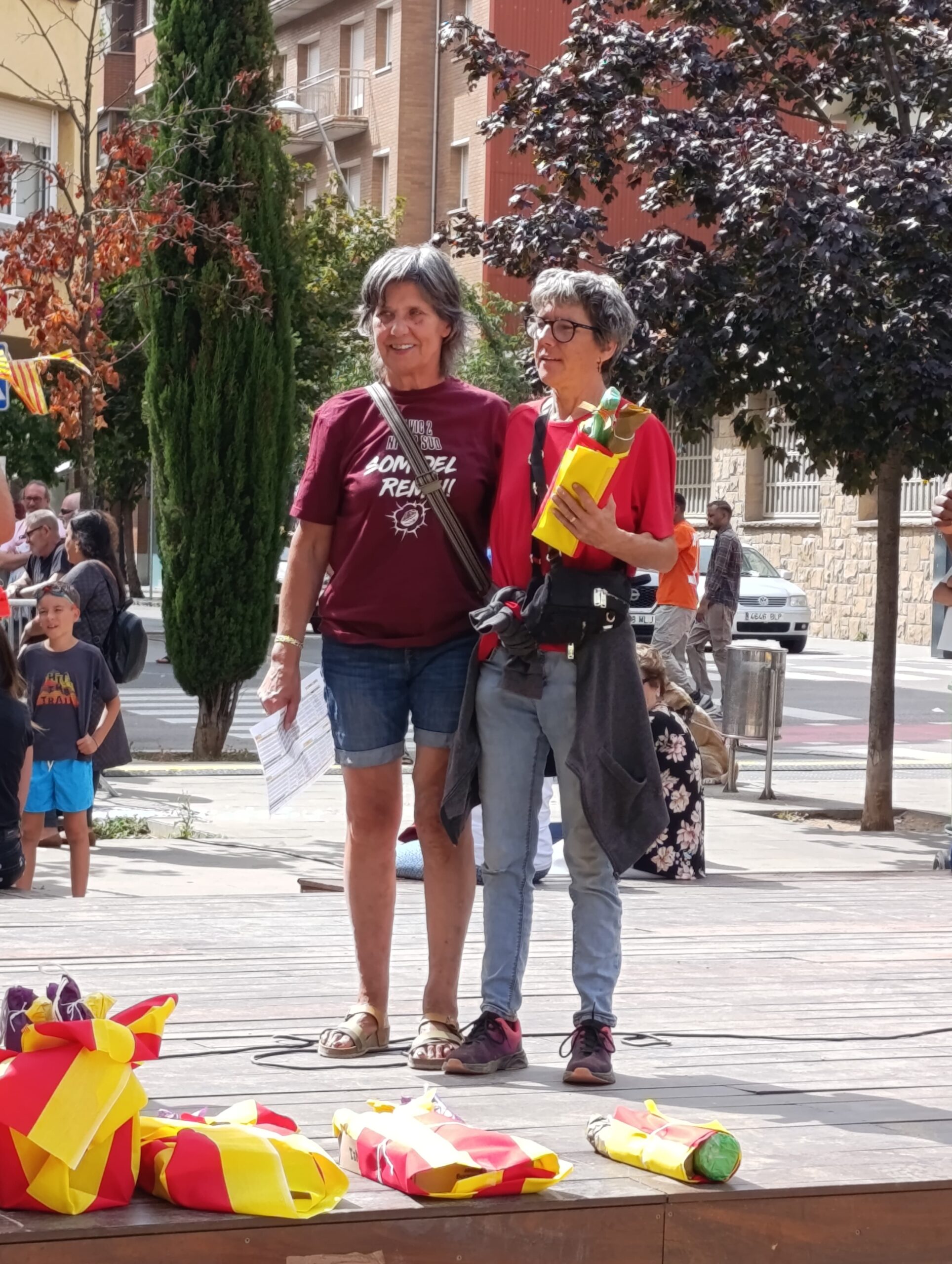 Festa Major del Remei 2025