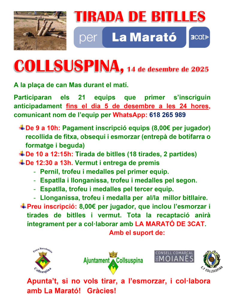 Gran Tirada de Bitlles Solidària per La Marató de 3CAT